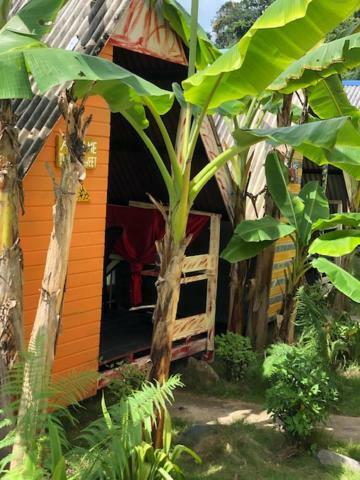 Beach Shack Chalet - Garden View Aframe Small Unit Kampong Juara Exteriér fotografie